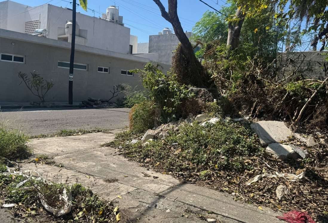 Terreno baldío en Veracruz convertido en basurero preocupa a vecinos