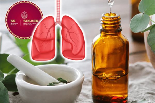 Salud de Veracruz promueve la medicina herbolaria para tratar enfermedades respiratorias (+VIDEO)