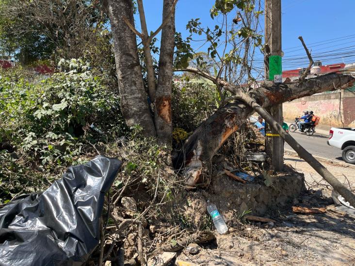 Desmayo al volante provoca volcadura en Xalapa: tres heridos