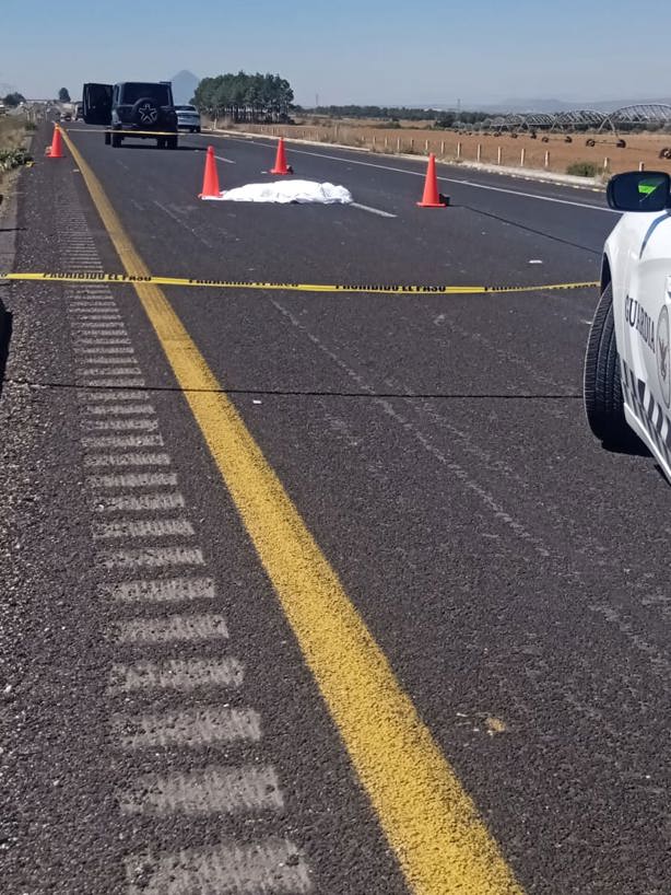 Regidor de Perote, implicado en fatal atropello y fuga en autopista