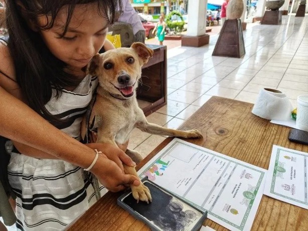 ¿CURP para mascotas será obligatorio en Veracruz este 2025? Esto sabemos