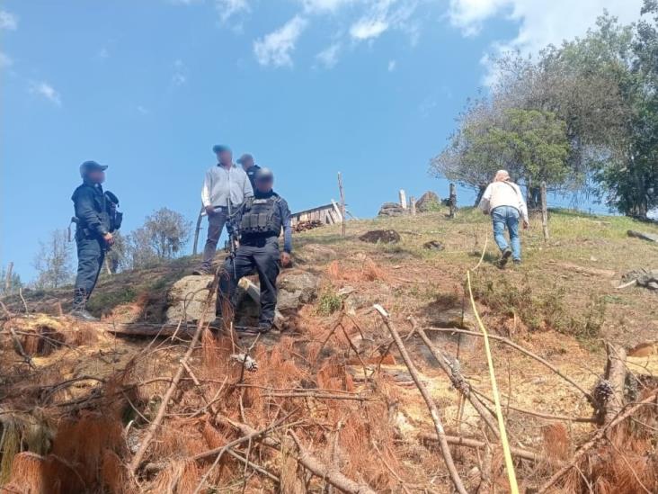 En Cofre de Perote, decomisan madera y detienen a 2 por tala ilegal