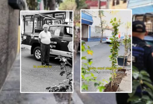 Hombre de la tercera edad se hace VIRAL tras ser arrestado por sembrar árboles ¿Qué pasó?