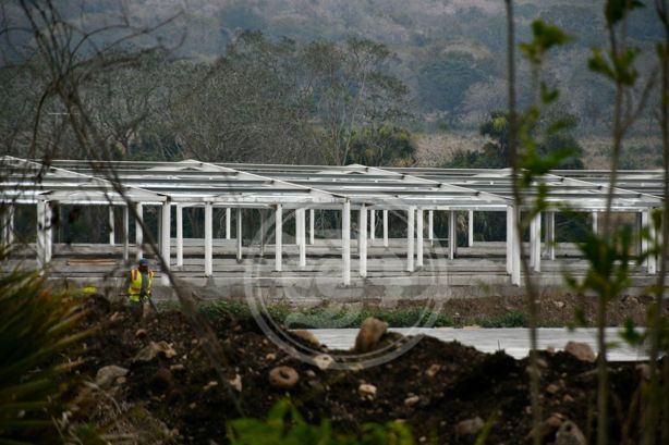 Ante resistencia de habitantes, esto pasará con la granja avícola en Actopan