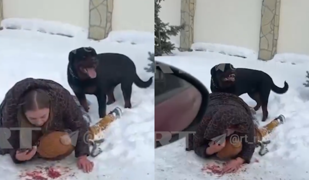 Video viral: Madre protege a su hijo con su propio cuerpo tras ataque de rottweiler