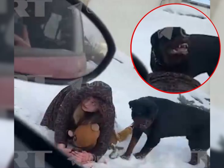 Video viral: Madre protege a su hijo con su propio cuerpo tras ataque de rottweiler