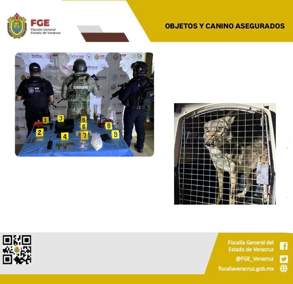 En operativo en Córdoba aseguran estupefacientes, armas y un coyote