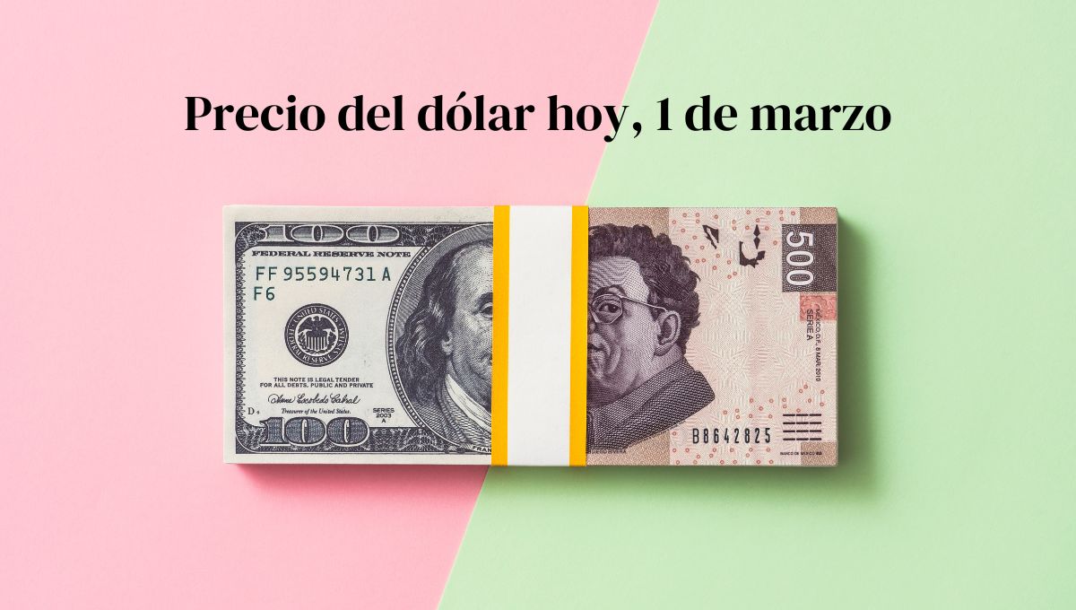 Precio del dólar hoy sábado 1 de marzo: así va el tipo de cambio