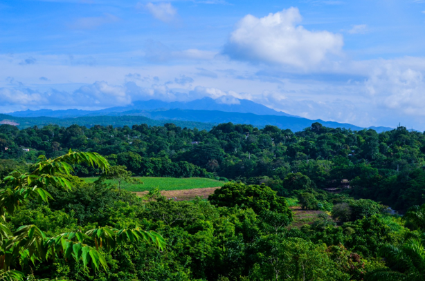 ¿Ya la conoces?: la Ruta Olmeca es toda una experiencia natural en Veracruz