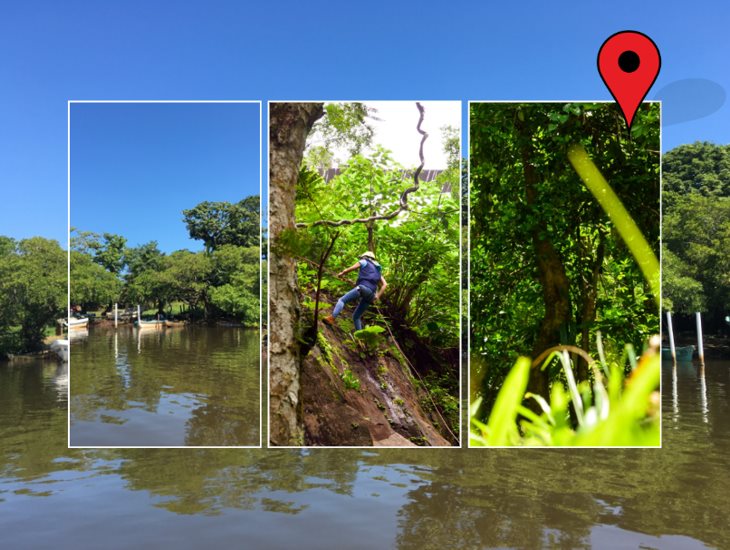 ¿Ya la conoces?: la Ruta Olmeca es toda una experiencia natural en Veracruz