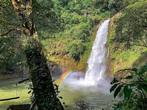 Conoce la Ruta Olmeca: un viaje a la cultura y naturaleza de Veracruz