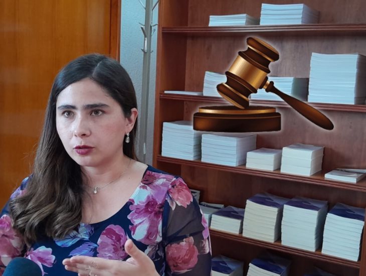 En campañas de elección judicial no se gastarán recursos de manera innecesaria: Daniela Suárez