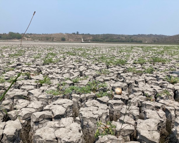 3 recomendaciones para ahorrar el agua en Veracruz durante la próxima temporada de estiaje