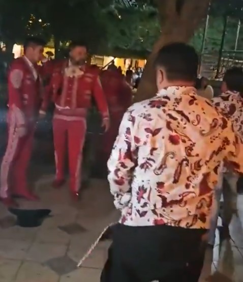 Mariachis y grupo norteño protagonizan pelea campal y se vuelven virales |VIDEO