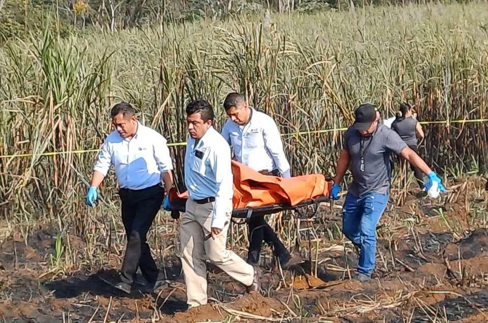 Cortador de caña muere calcinado en un campo de Córdoba