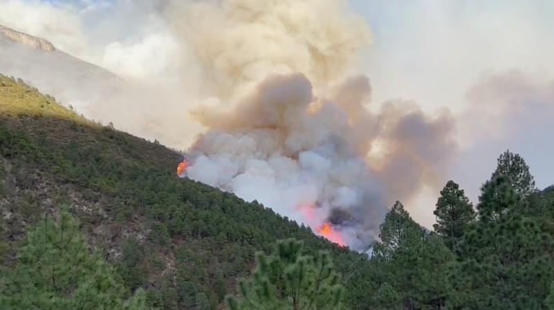 Se mantiene contingencia ambiental por 239 incendios en NL