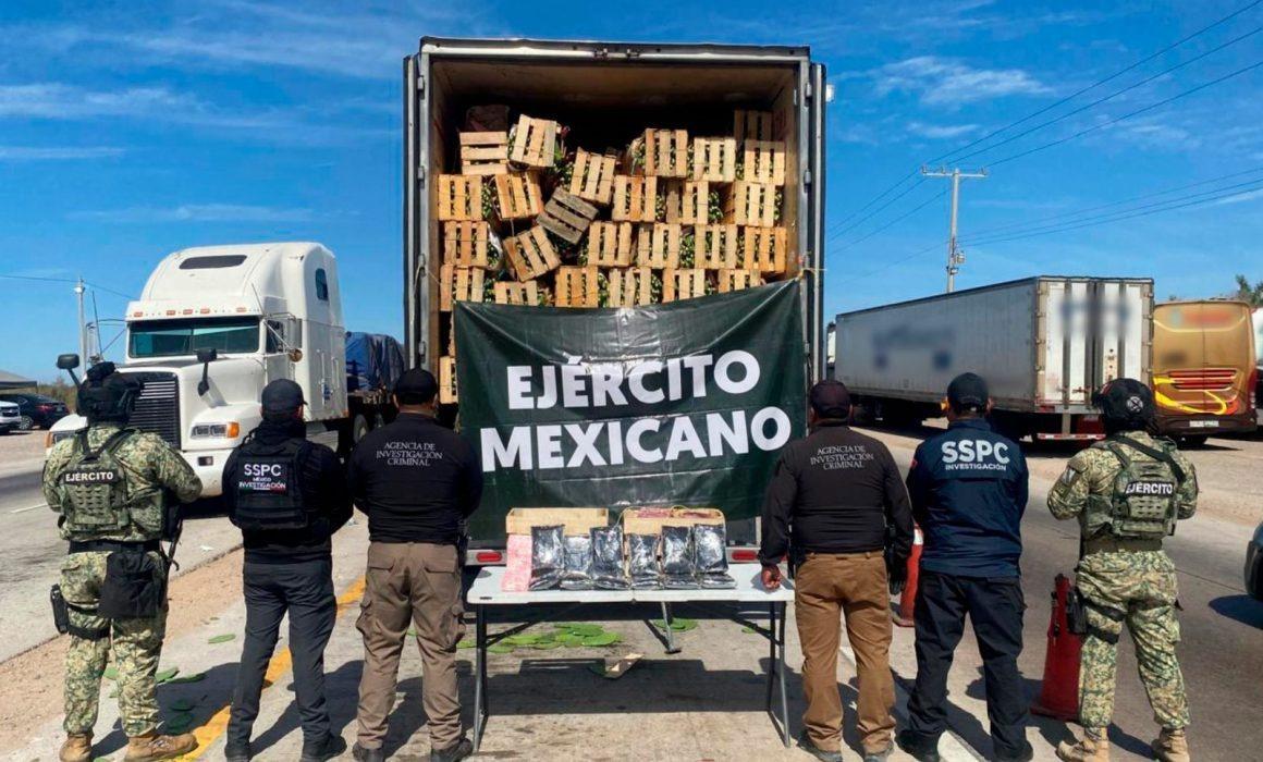 Detectan 32 kilos de fentanilo en cargamento de nopales; detienen a un hombre