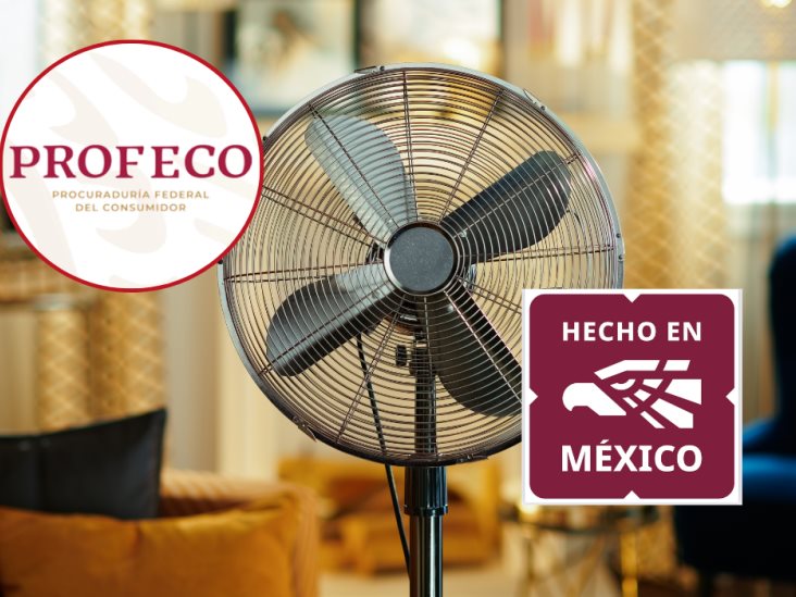 Ola de calor: Estos ventiladores hechos en México destacan según Profeco