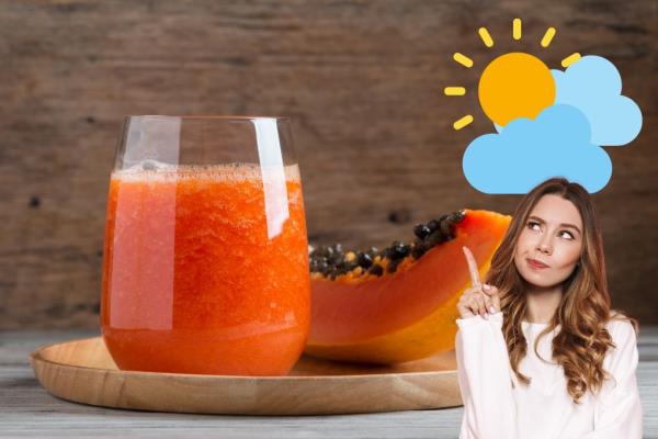 Beneficios de comer papaya por las mañanas