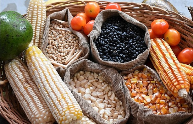 Estados Unidos podría dejar fuera de aranceles algunos productos agrícolas de México 