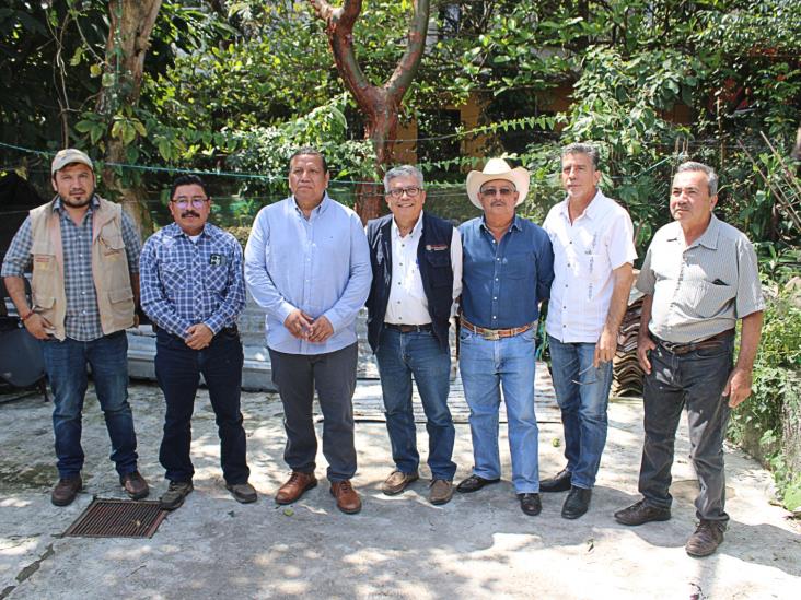 Productores de miel de Misantla buscan fortalecer la apicultura nativa