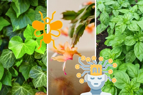 5 plantas que NO debes tener en tu casa para evitar plagas, según la IA
