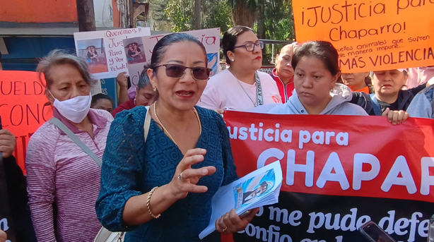 Con protesta, exigen justicia por Chaparro, perro asesinado en Río Blanco (+Video)