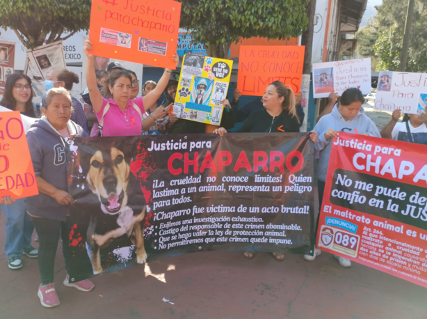 Con protesta, exigen justicia por Chaparro, perro asesinado en Río Blanco (+Video)