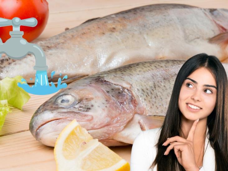 Cuaresma 2025: ¿el pescado debe lavarse antes de comerlo?