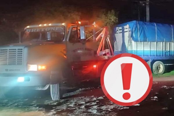Tras reporte de robo, recuperan camión torton en Martínez de la Torre