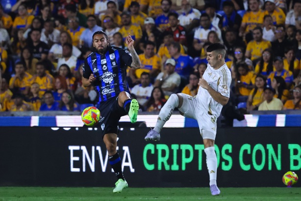 Reciben Gallos Blancos un zarpazo de Tigres