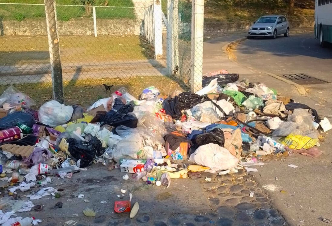 Vecinos denuncian la falta de camión de basura en calles del Infonavit Buenavista