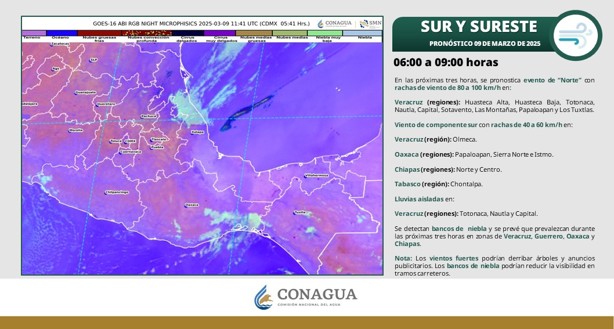 Así estará el clima en Xalapa hoy domingo 9 de marzo: ¿hará calor o lloverá?