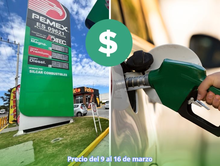 Gasolina en Xalapa: ¿cuál será el precio del 9 al 16 de marzo?