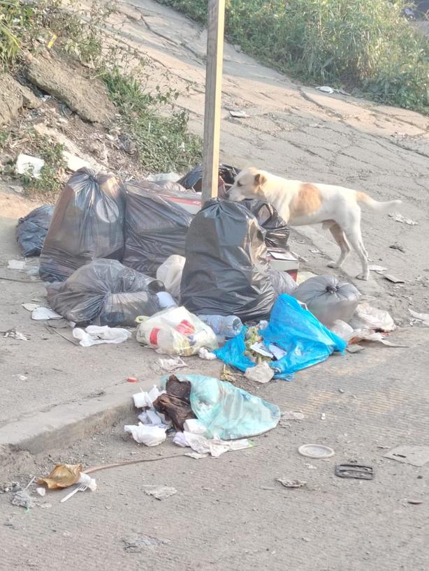 Calles de la Reserva Territorial, en Xalapa, convertidas en basurero (+Video)