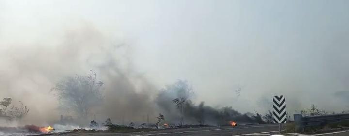 Incendio de pastizales estuvo a punto de llegar a viviendas en Cardel