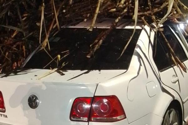 Rescatan a persona prensada en Cuitláhuac; impactó vehículo contra camión cañero