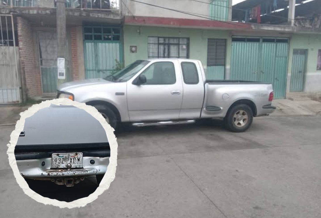 Persona alcoholizada agrede con cuchillo a una perrita en Altotonga, Veracruz