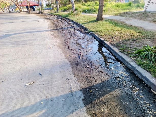 Vecinos de Lagos de Puente Moreno denuncian acumulación de agua sucia y lodo