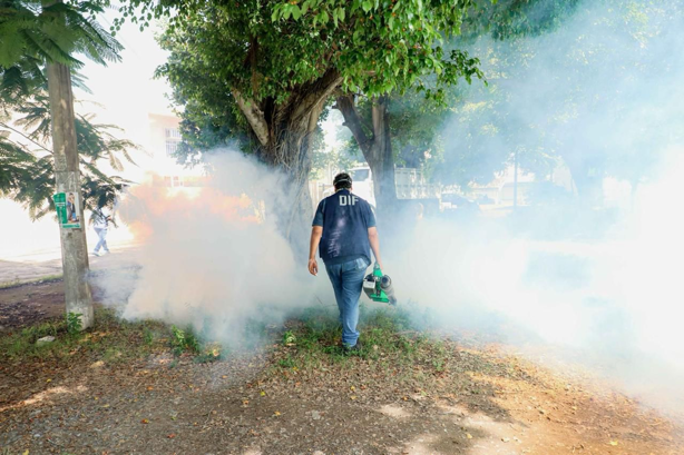 ¿Sabes identificar el dengue grave? Estos son los síntomas y señales de alarma