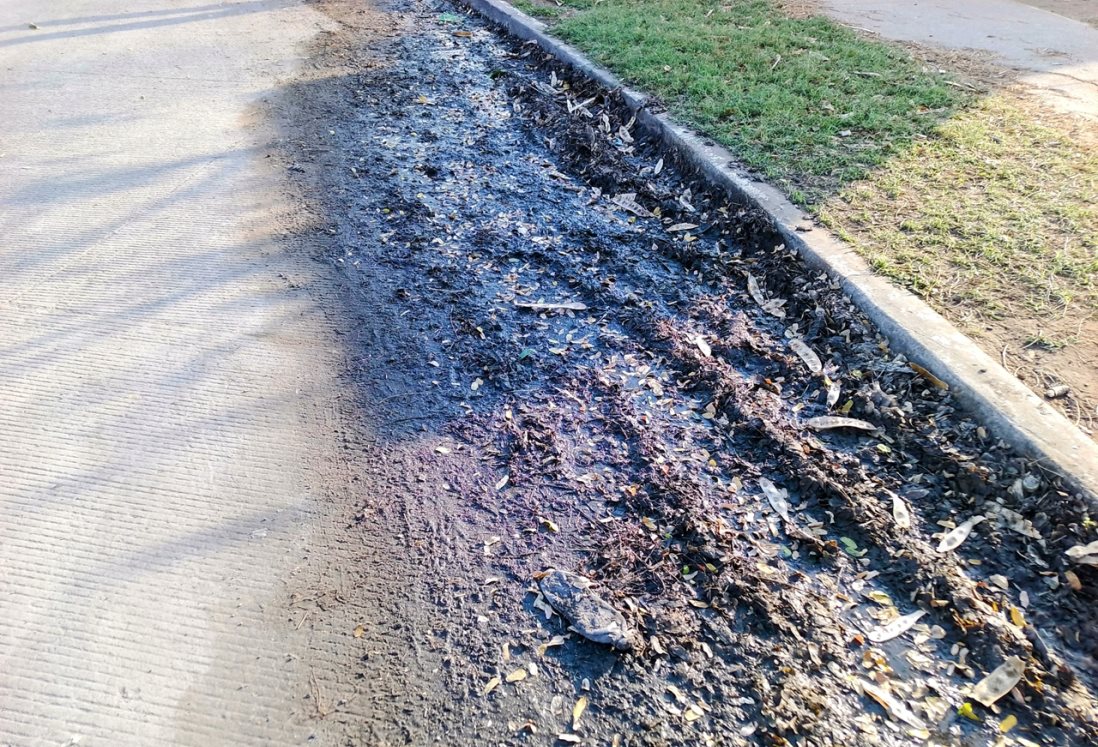 Vecinos de Lagos de Puente Moreno denuncian acumulación de agua sucia y lodo