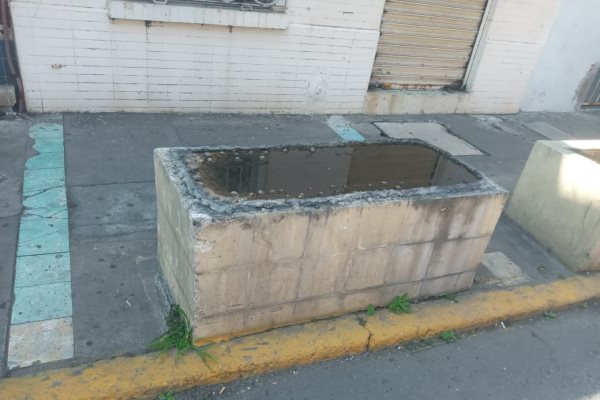 Maceteros en mal estado en el centro de Veracruz podrían ser focos de infección