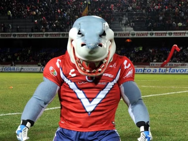 ¿Quiénes fueron todos los dueños de los Tiburones Rojos de Veracruz?