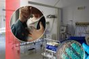 Tosferina en México se dispara: ¿cuáles son los estados con más casos?