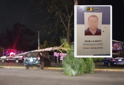 ¿Iba ebrio? Conductor derriba una palmera en bulevar Córdoba-Peñuela