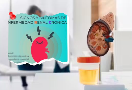 Día Mundial del Riñón; estos son los síntomas de enfermedad crónica 