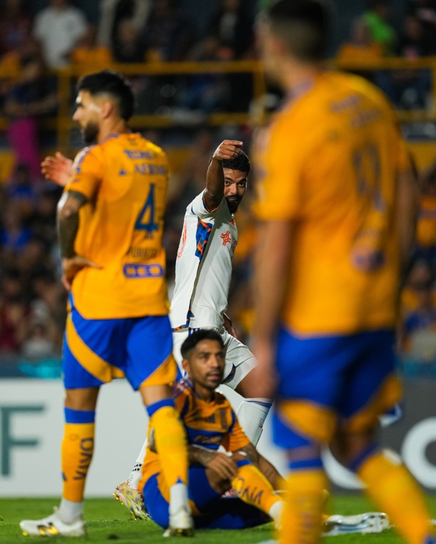 A puro rugido, Tigres clasifica en casa