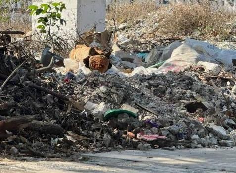 ¿Existe multa en Veracruz por tirar basura en un terreno baldío?