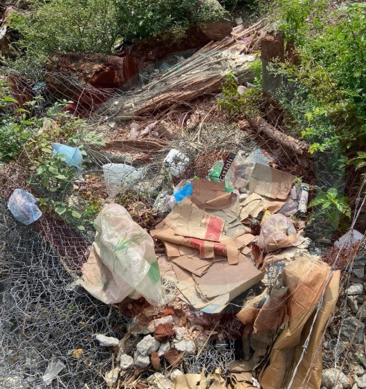 ¿Existe multa en Veracruz por tirar basura en un terreno baldío?