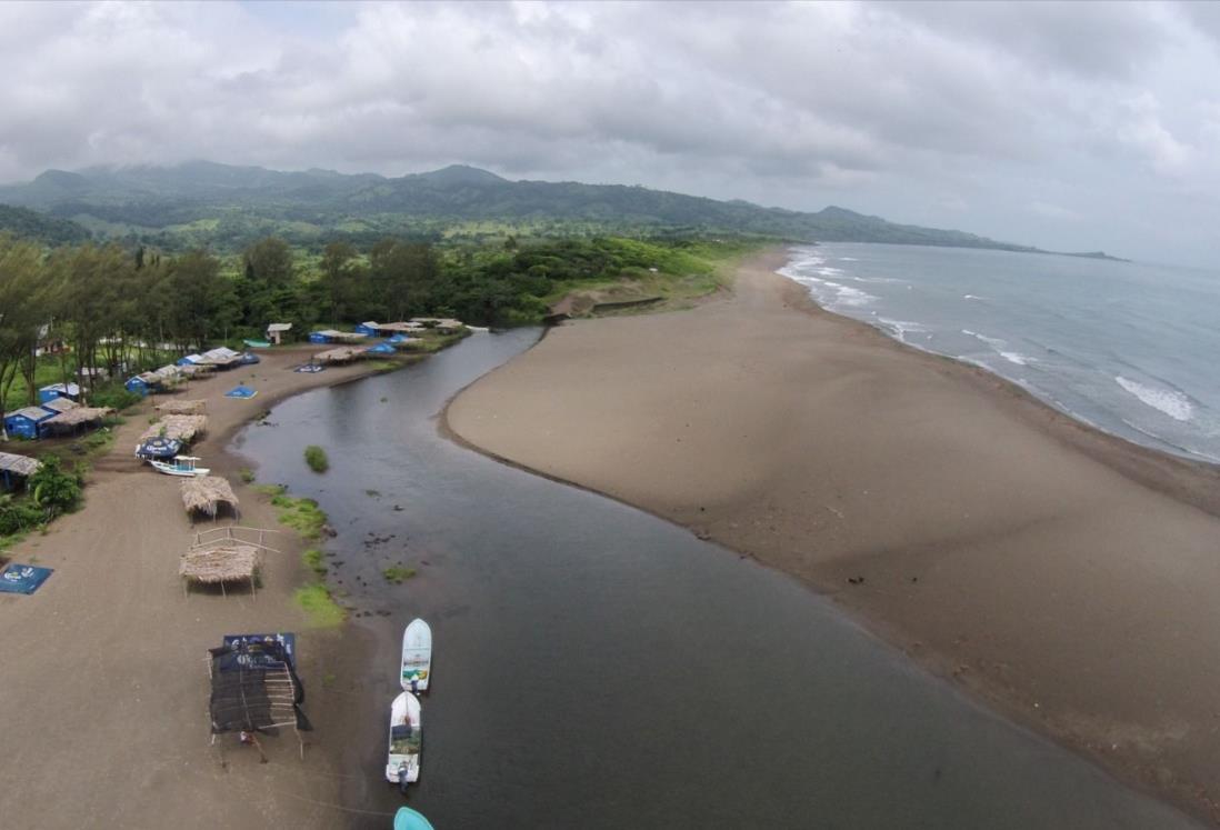 ¡Llaman a la calma! Falso ataque de tiburón a bañistas en una playa de Veracruz